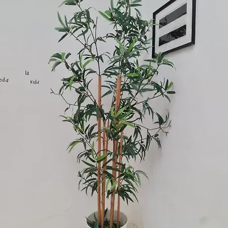 Hostel On Sliema